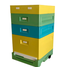 Augšupielādēt attēlu galerijas skatā, 10 rāmis Dadant Strops